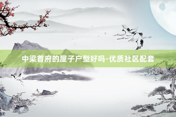 中梁首府的屋子户型好吗-优质社区配套